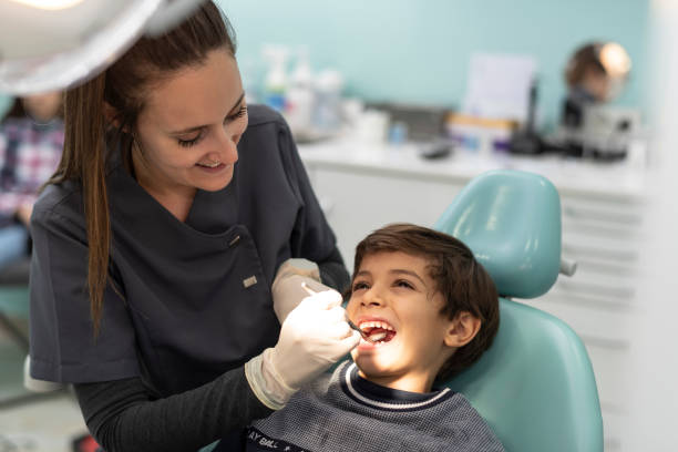 Best Teeth Whitening  in Lake Camelot, IL